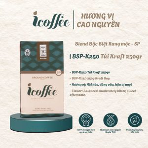 BSP-K250 Túi Kraft 250gr